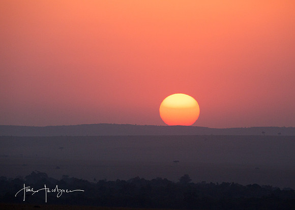 Sunrise on the Masai Mara