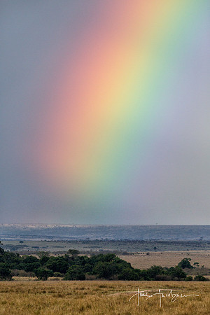 Masai Mara