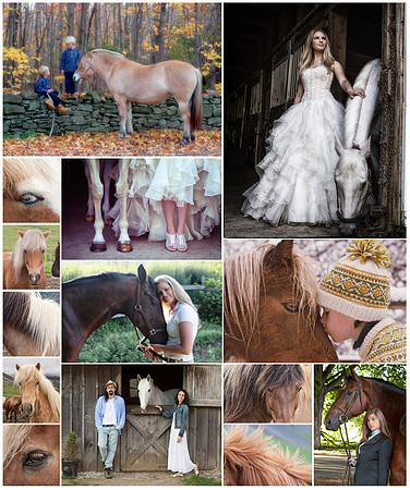Equestrian Portraits
